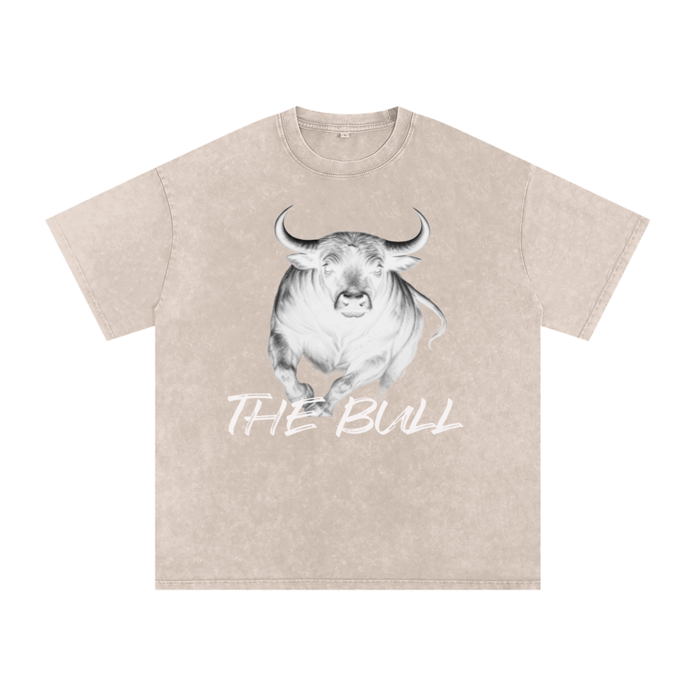 FZ Unisex Snow Washed Oversized Cotton Tee