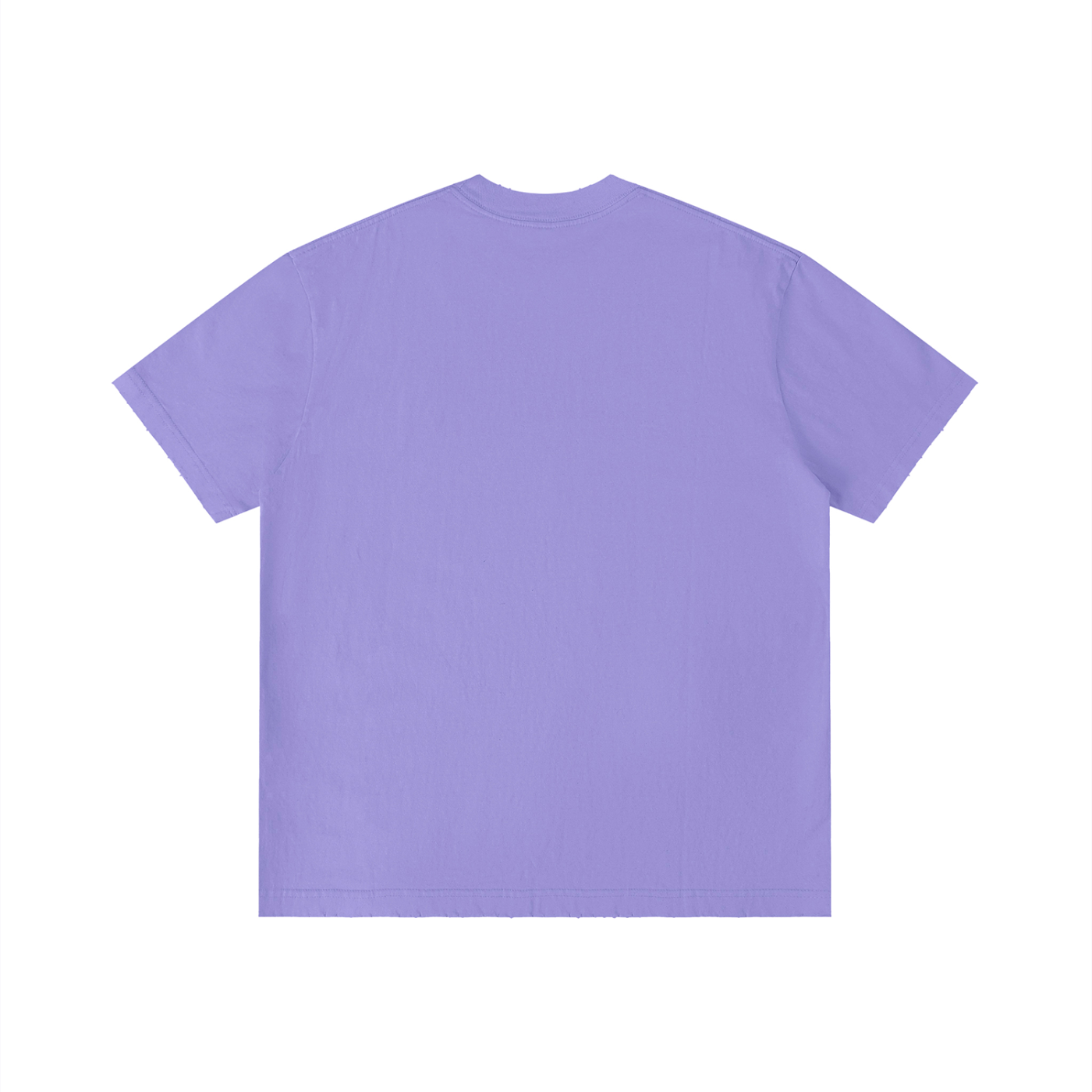 FZ Unisex Vintage Wash Distressed Tee