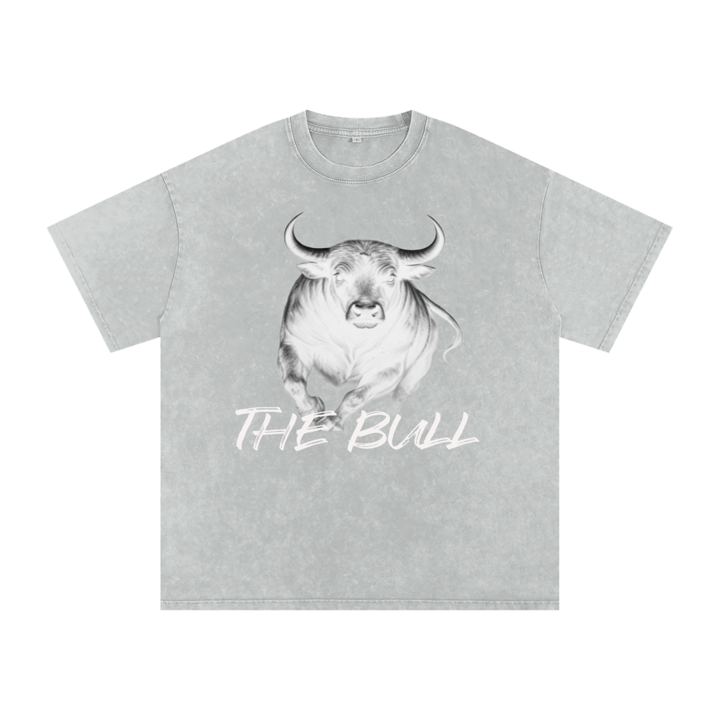 FZ Unisex Snow Washed Oversized Cotton Tee