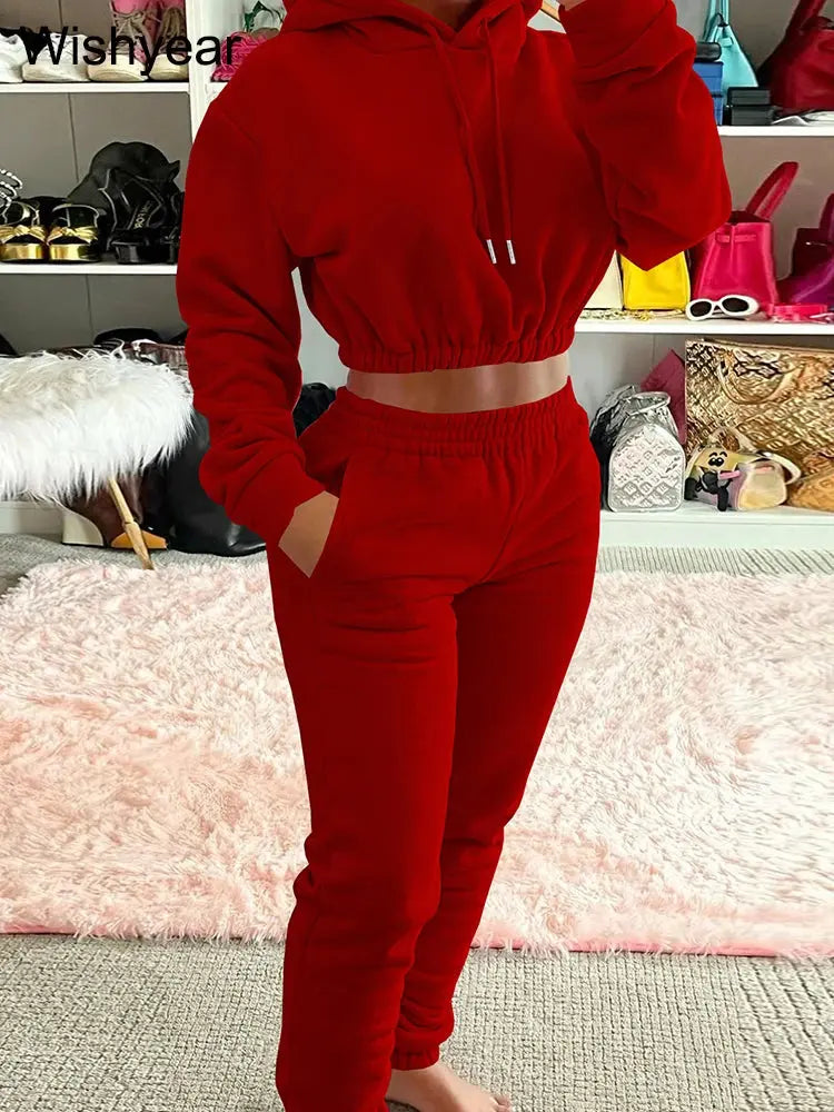 Elegant Sweatshirt Hoodie Crop Top and Leggings Sweatpants Thick Warm Velvet Two Piece Pants Set Women Winter Outfit Sweatsuit FZwear