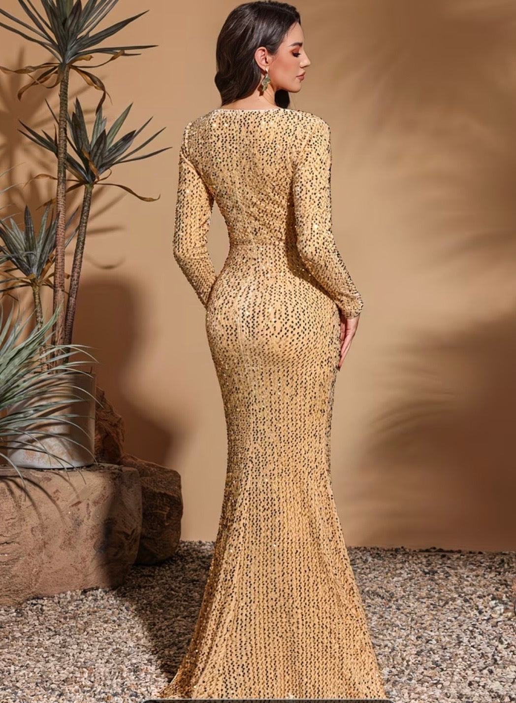 FZ Women's Long-sleeve V-neck Mermaid Evening Dress