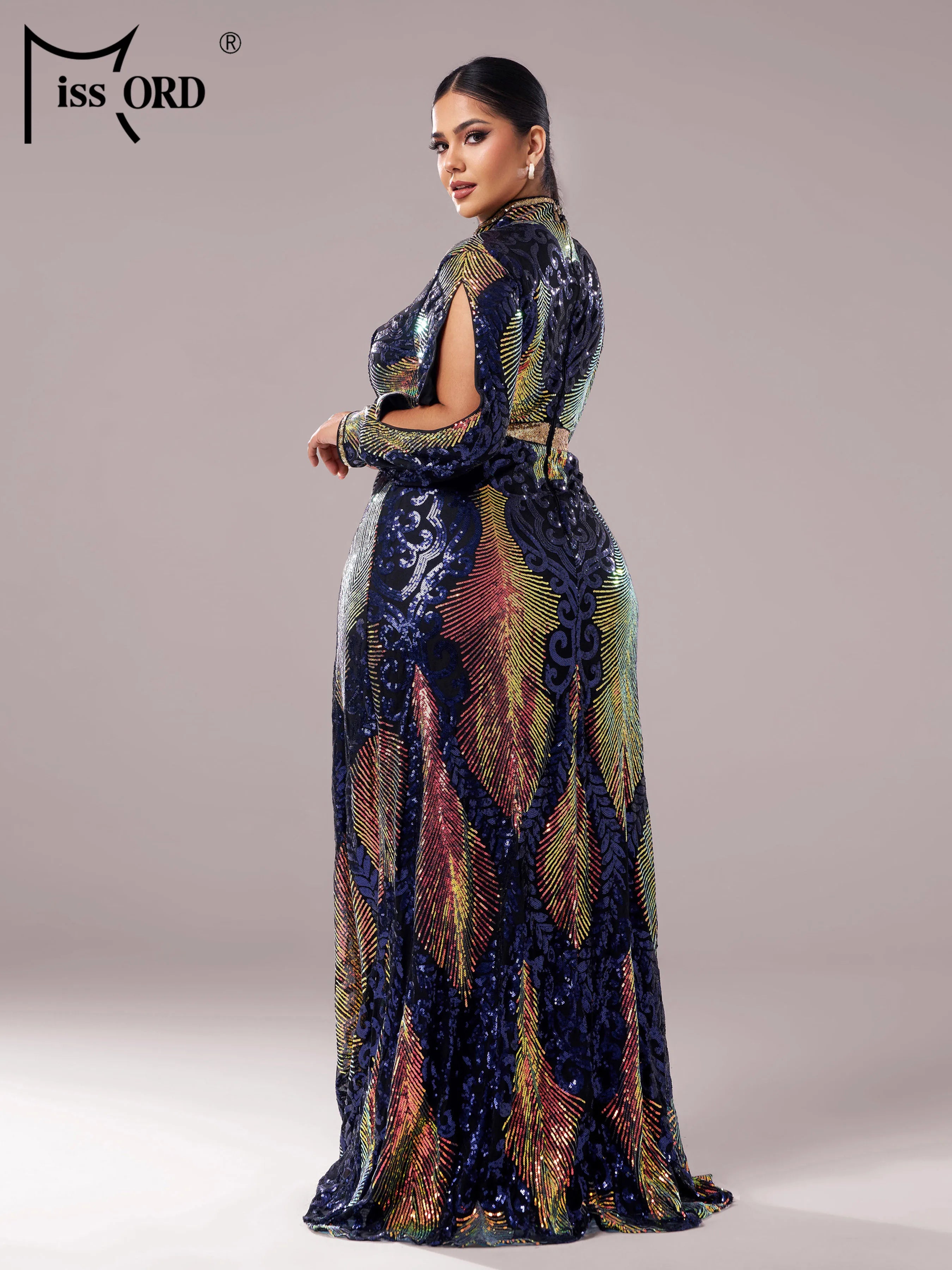 FZ Women's Plus Size V Neck A Line Sequin Evening Dress