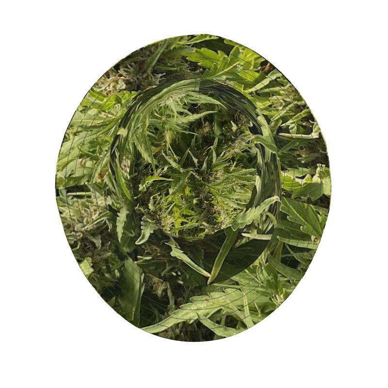 fz designer bucket hat