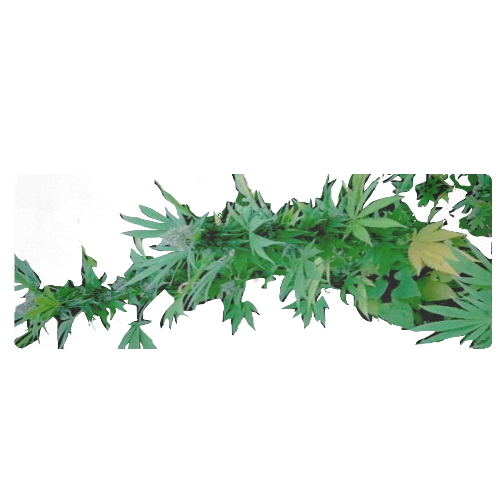 fz bud kitchen mat one size / fz kitchen bud mat - white kitchen mat 48"x17"