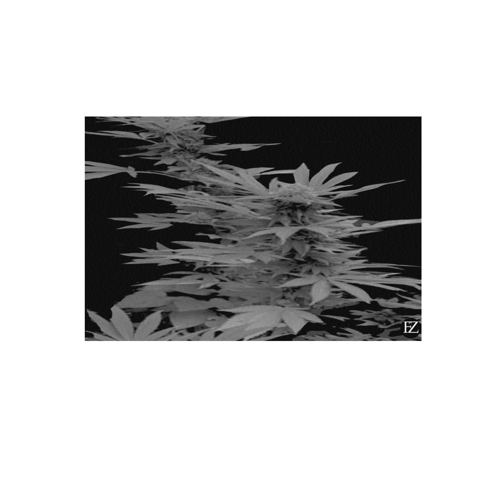 fz plant portrait upgraded frame canvas print 48"x32"(made in queen)