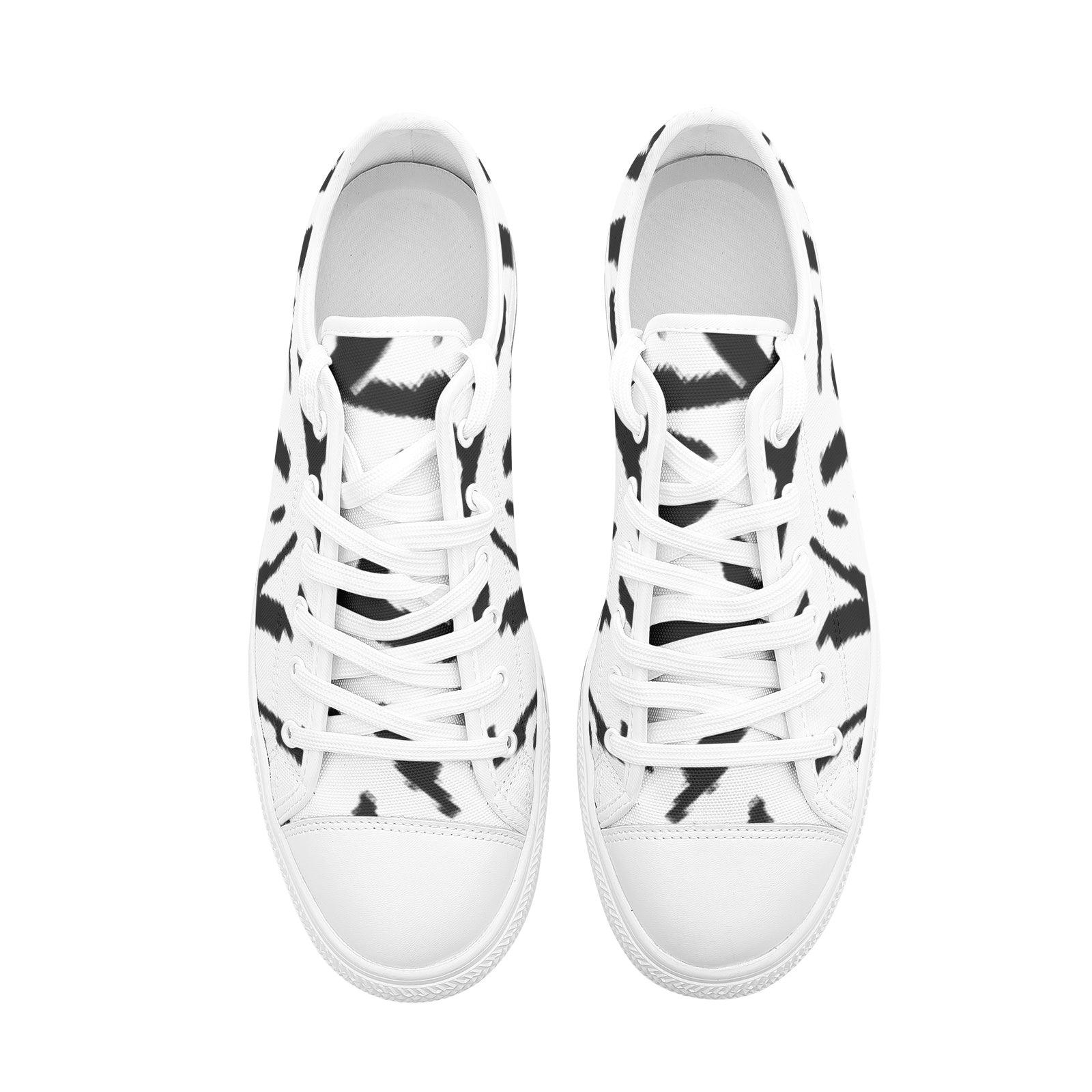 FZ Unisex Low Top Canvas Shoes