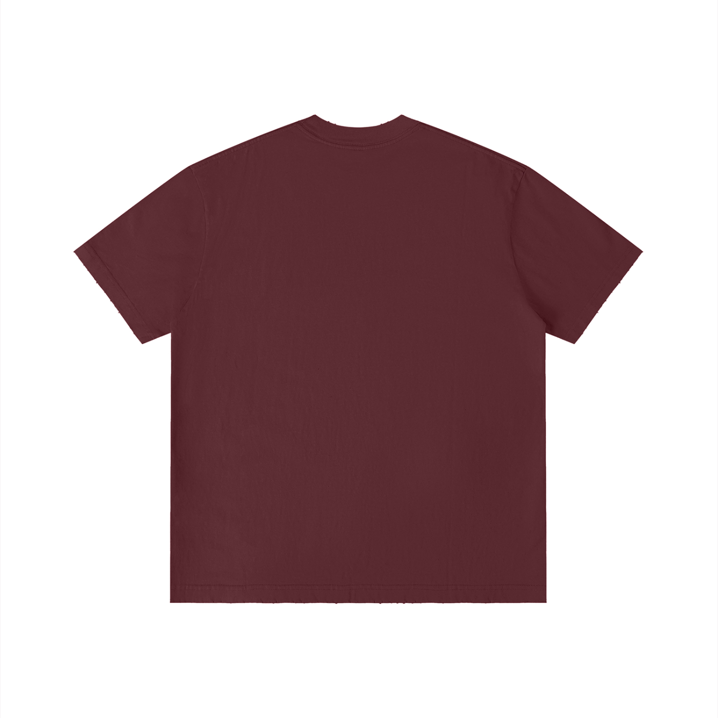 FZ Unisex Vintage Wash Distressed Tee
