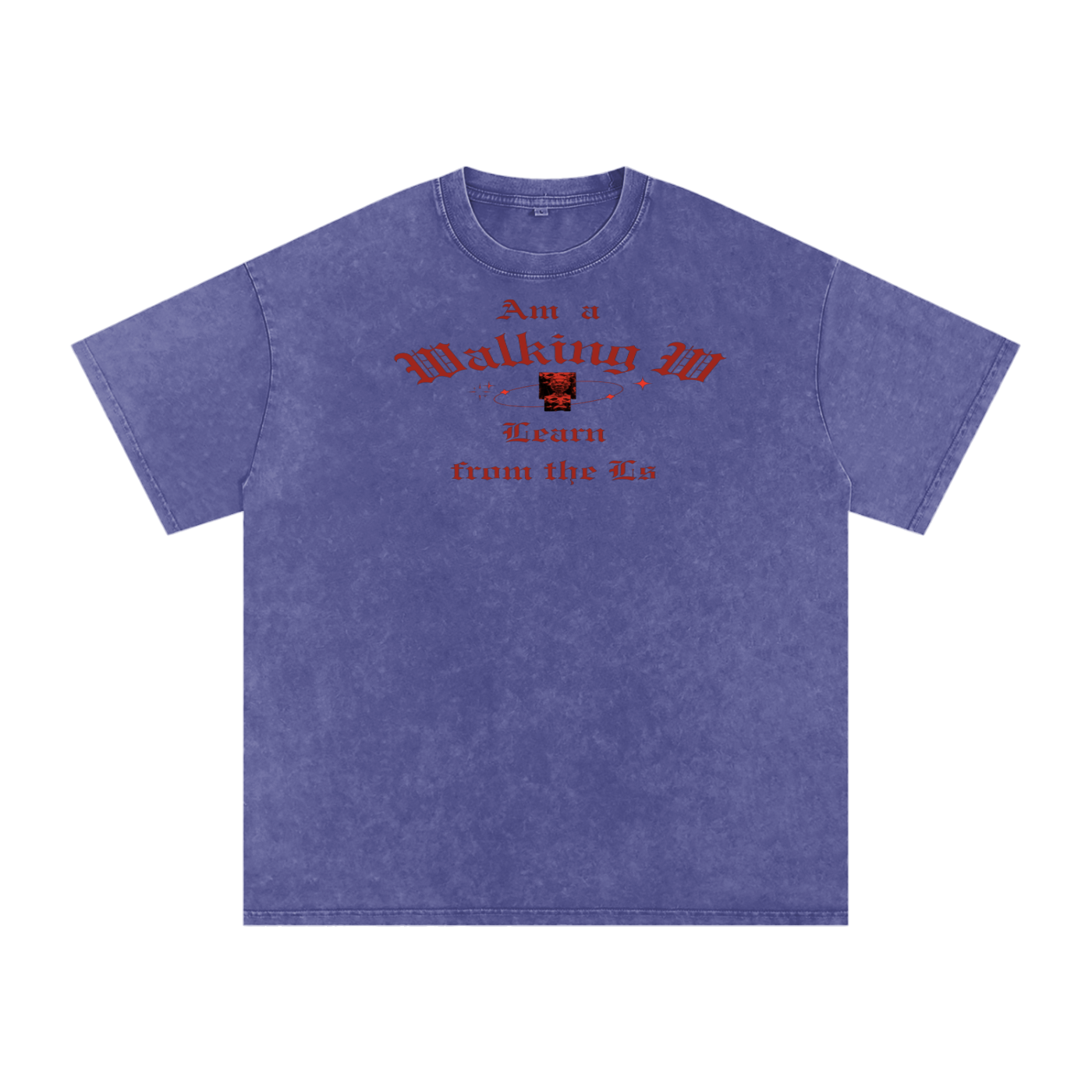 FZ Unisex Snow Washed Oversized Cotton Tee