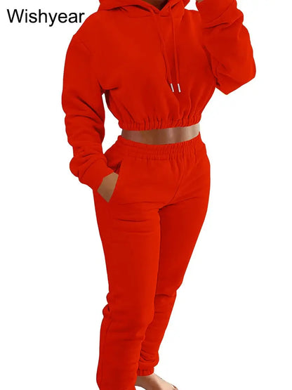 Elegant Sweatshirt Hoodie Crop Top and Leggings Sweatpants Thick Warm Velvet Two Piece Pants Set  Women Winter Outfit Sweatsuit FZwear