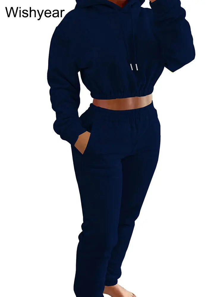 Elegant Sweatshirt Hoodie Crop Top and Leggings Sweatpants Thick Warm Velvet Two Piece Pants Set  Women Winter Outfit Sweatsuit FZwear