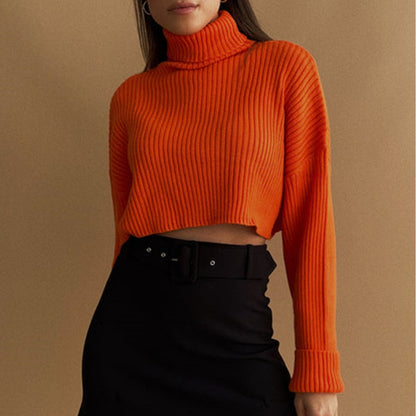 FZ Women's Thread Knitted Pullover High Collar Sweater - FZwear
