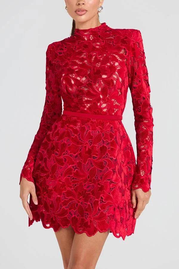 FZ Women's Round Collar Hollow Out Belt Tight Waist Meshed Dress