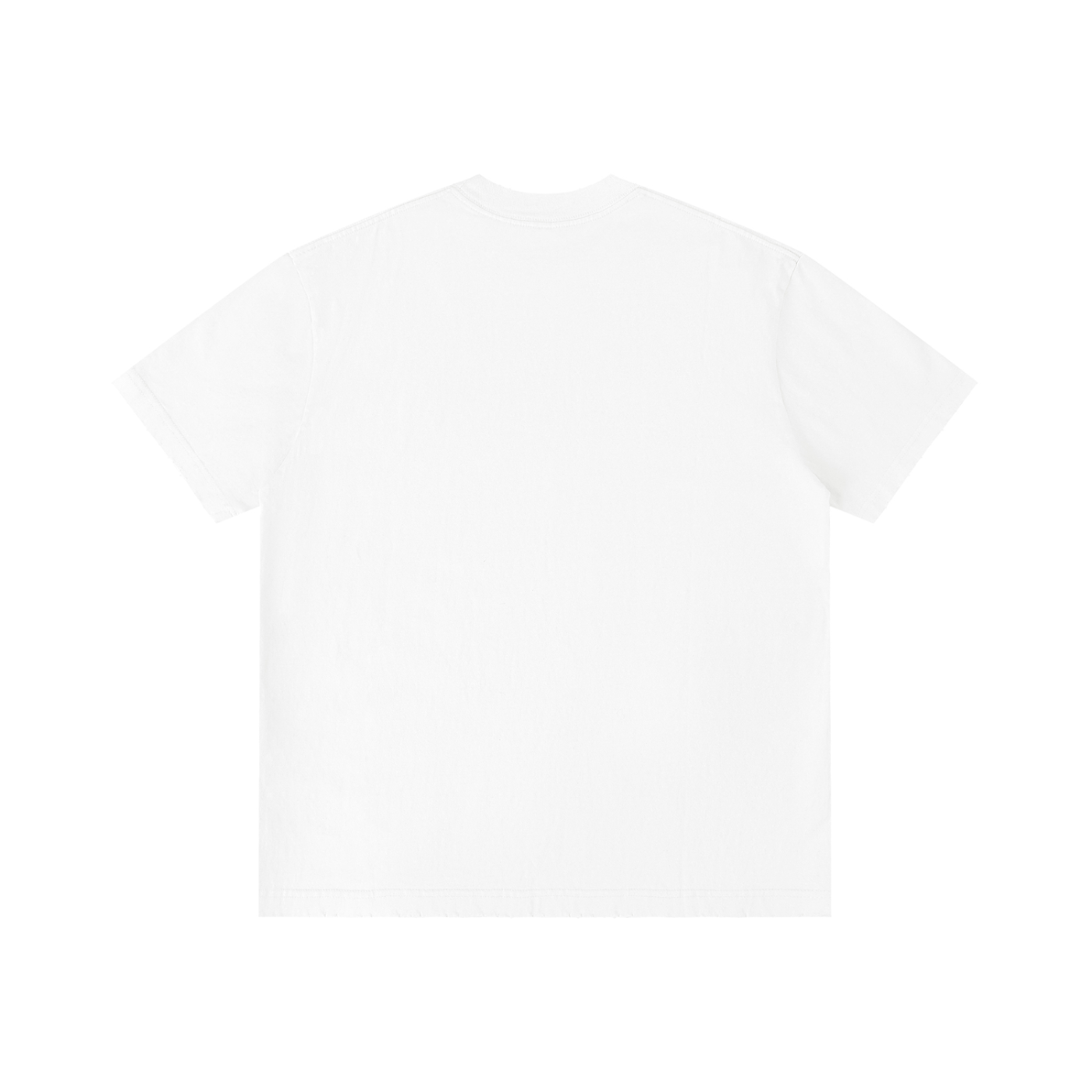 FZ Unisex Vintage Wash Distressed Tee