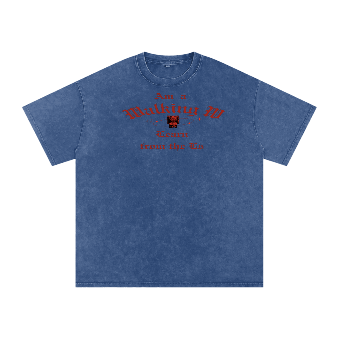 FZ Unisex Snow Washed Oversized Cotton Tee