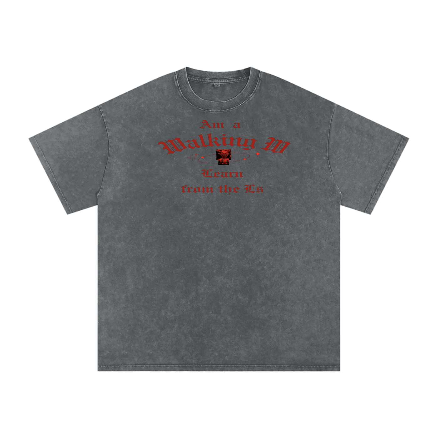 FZ Unisex Snow Washed Oversized Cotton Tee