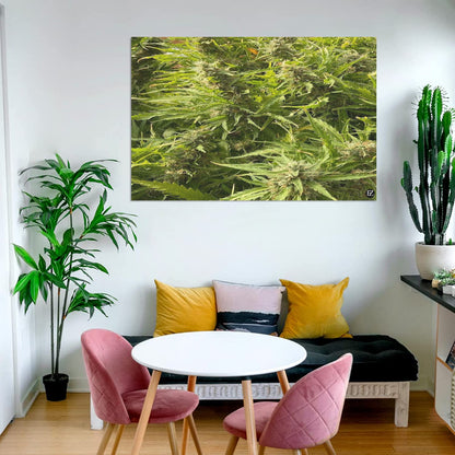 fz new weed portrait abstract upgraded frame canvas print 48"x32"(made in queen)