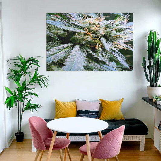 fz weed two portrait upgraded frame canvas print 48"x32"(made in queen)